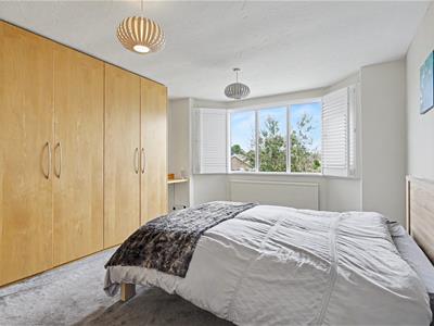 Picture 13